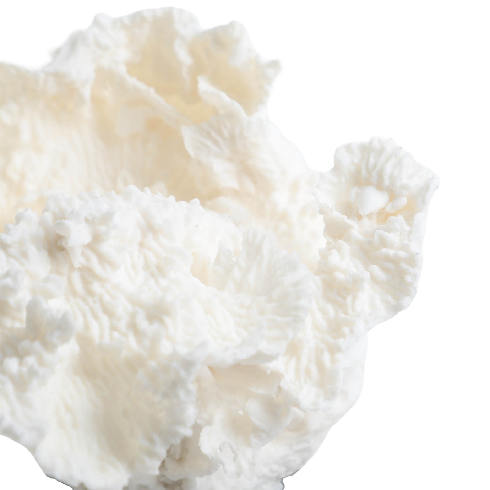 Drift Artificial Coral Sculpture by Keiichi