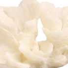 Raize Coral Sculpture by Keiichi
