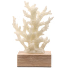 Solace Coral Ornament by Keiichi