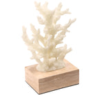 Solace Coral Ornament by Keiichi