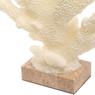 Pearline Coral Ornament by Keiichi