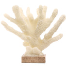 Pearline Coral Ornament by Keiichi