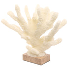 Pearline Coral Ornament by Keiichi