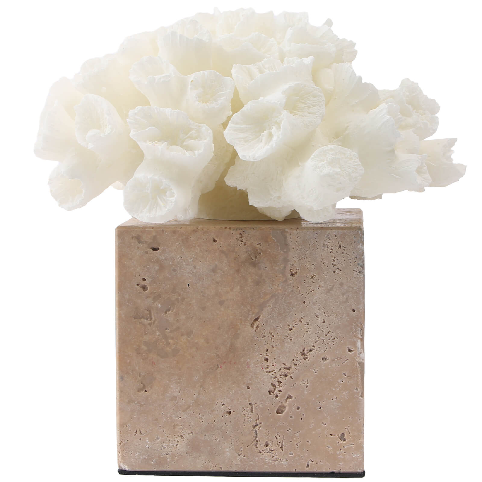 Vela Coral Ornament by Keiichi