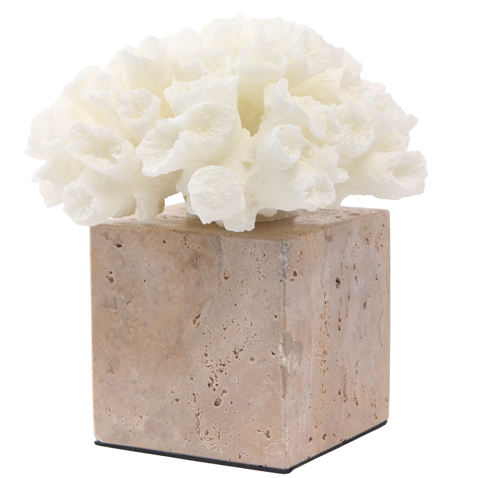Vela Coral Ornament by Keiichi