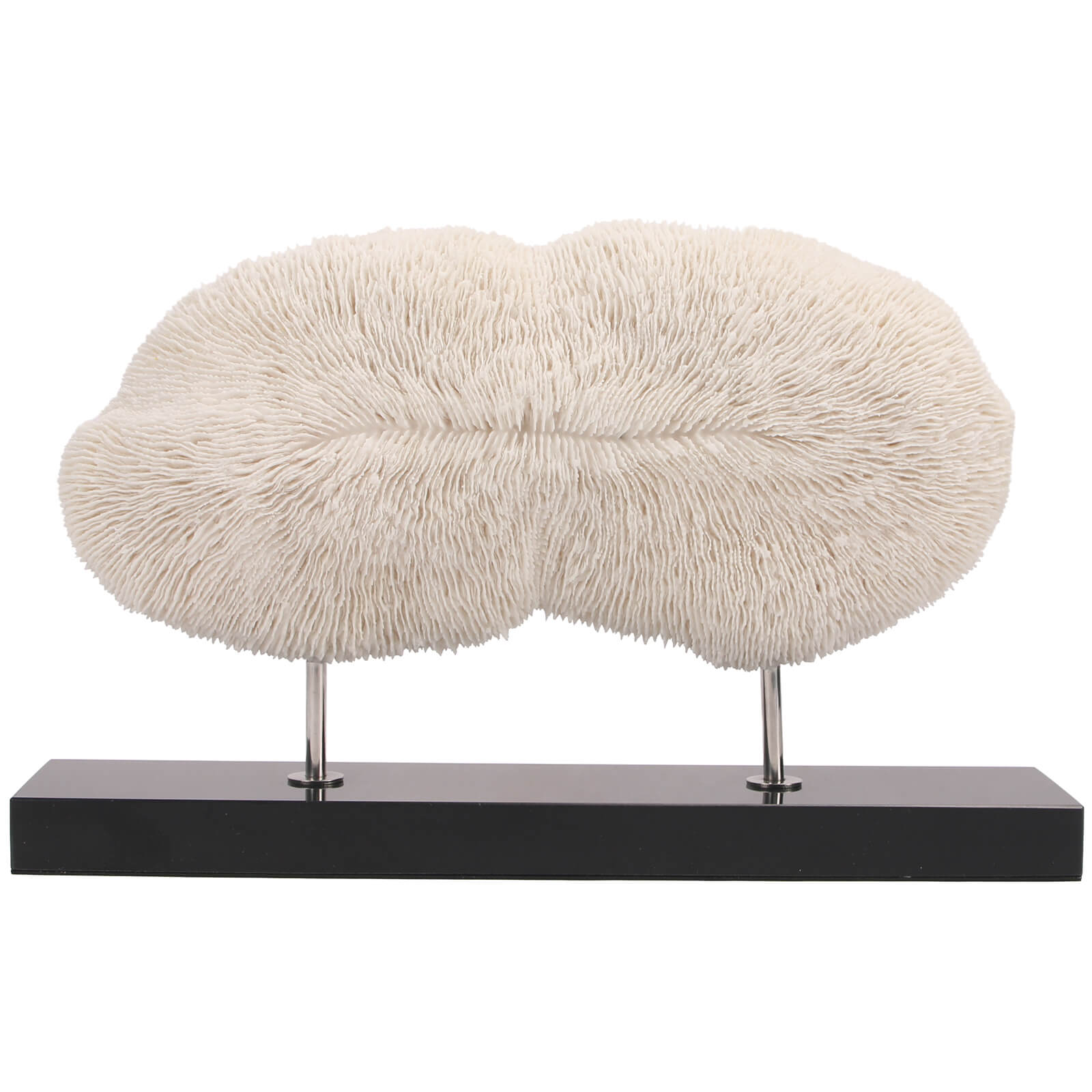 Wide Artificial Coral Sculpture by Keiichi