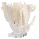 Tide Artificial Coral Sculpture by Keiichi