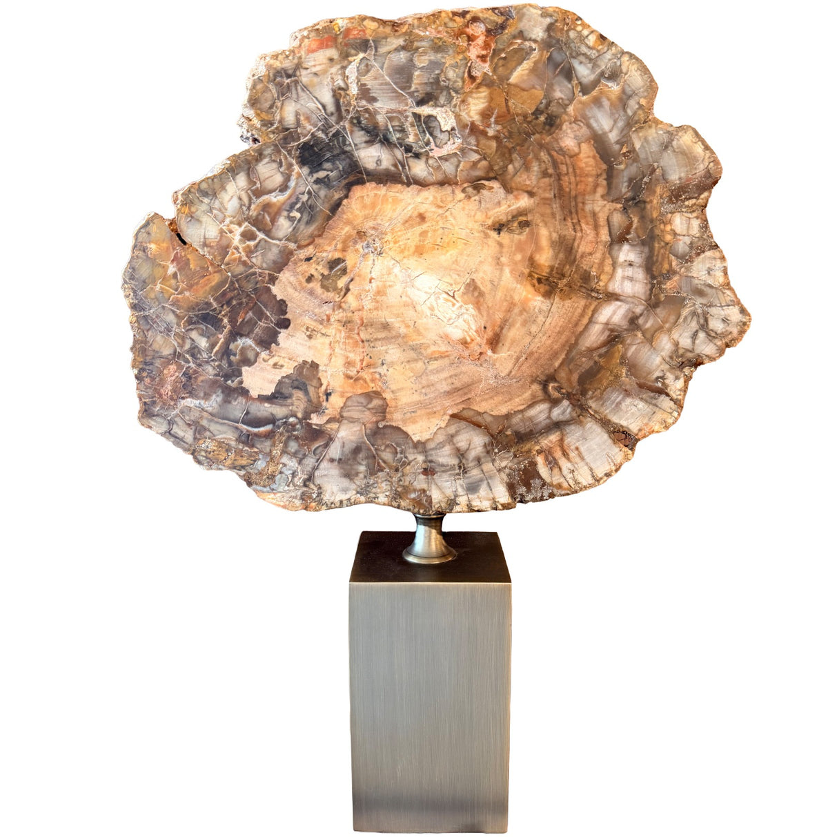 Ivor Petrified Wood Sculpture Keiichi