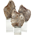 Bram Petrified Wood Sculpture - Large Keiichi