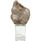 Bram Petrified Wood Sculpture - Medium Keiichi