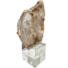 Bram Petrified Wood Sculpture - Small Keiichi