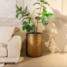 Dira Brushed Gold Planter - 45cm by Richmond Interiors