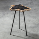 Mircea Petrified Wood Accent Table by Uttermost