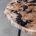 Mircea Petrified Wood Accent Table by Uttermost