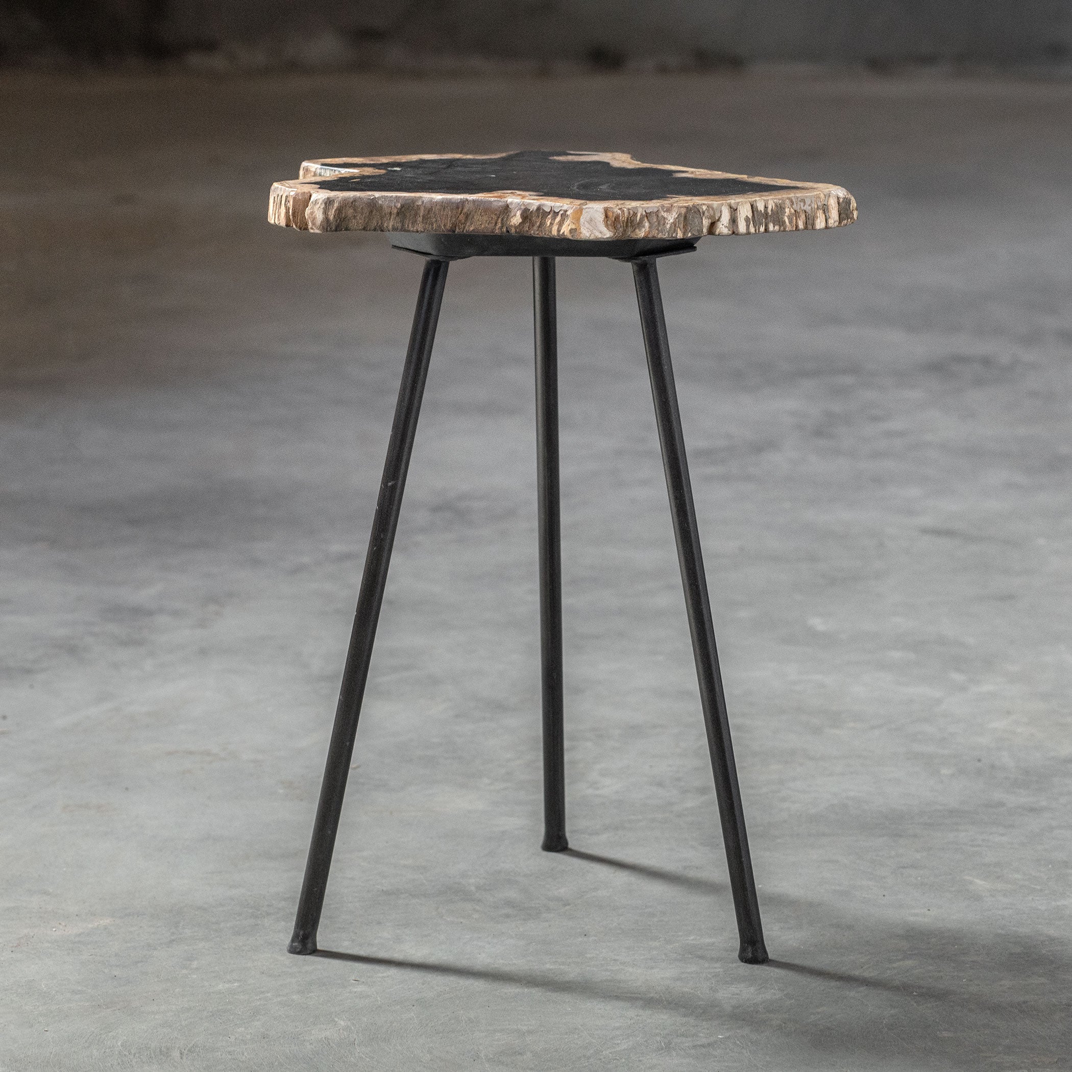 Mircea Petrified Wood Accent Table by Uttermost