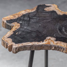 Mircea Petrified Wood Accent Table by Uttermost