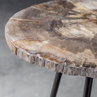 Mircea Petrified Wood Accent Table by Uttermost