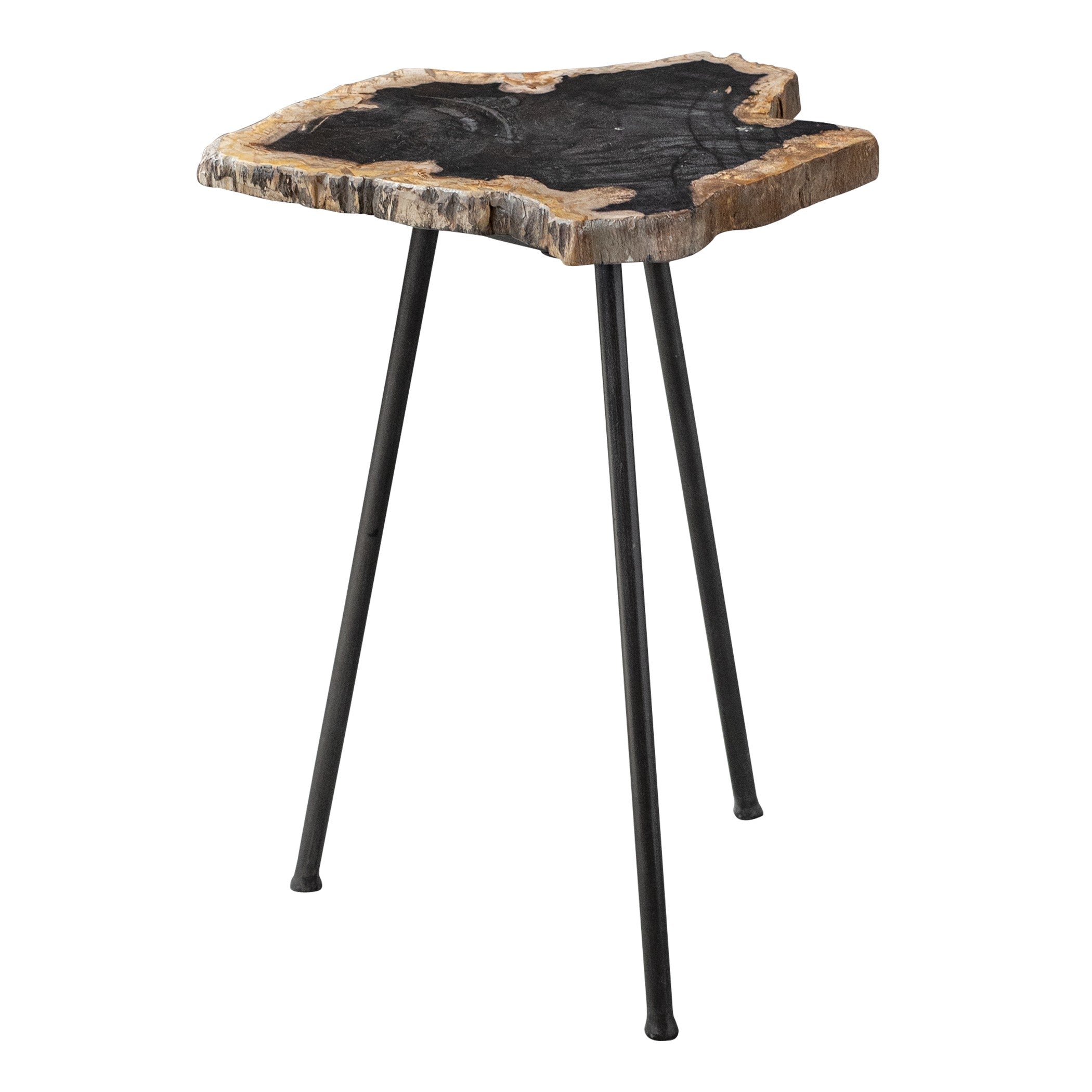 Mircea Petrified Wood Accent Table by Uttermost