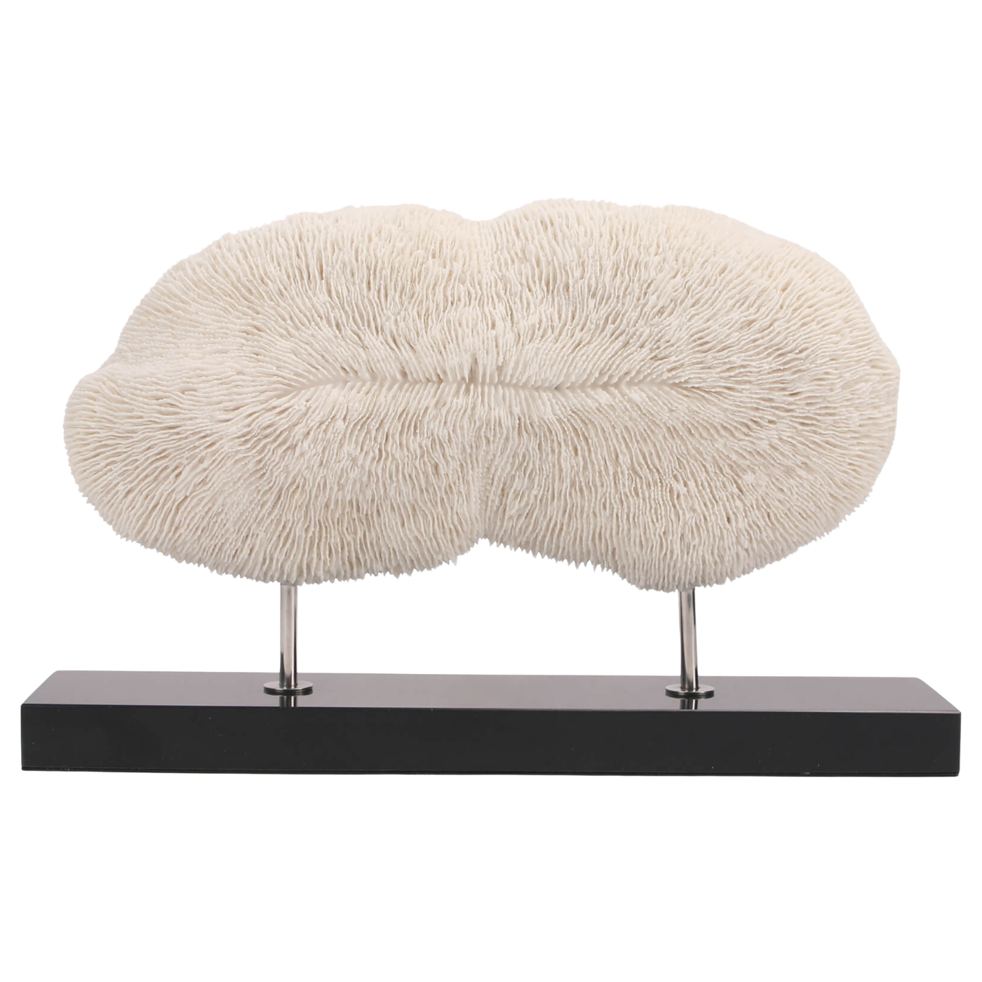 Wide Artificial Coral Sculpture by Keiichi