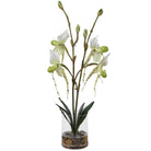 Lady Slipper Orchid In Glass Vase Uttermost