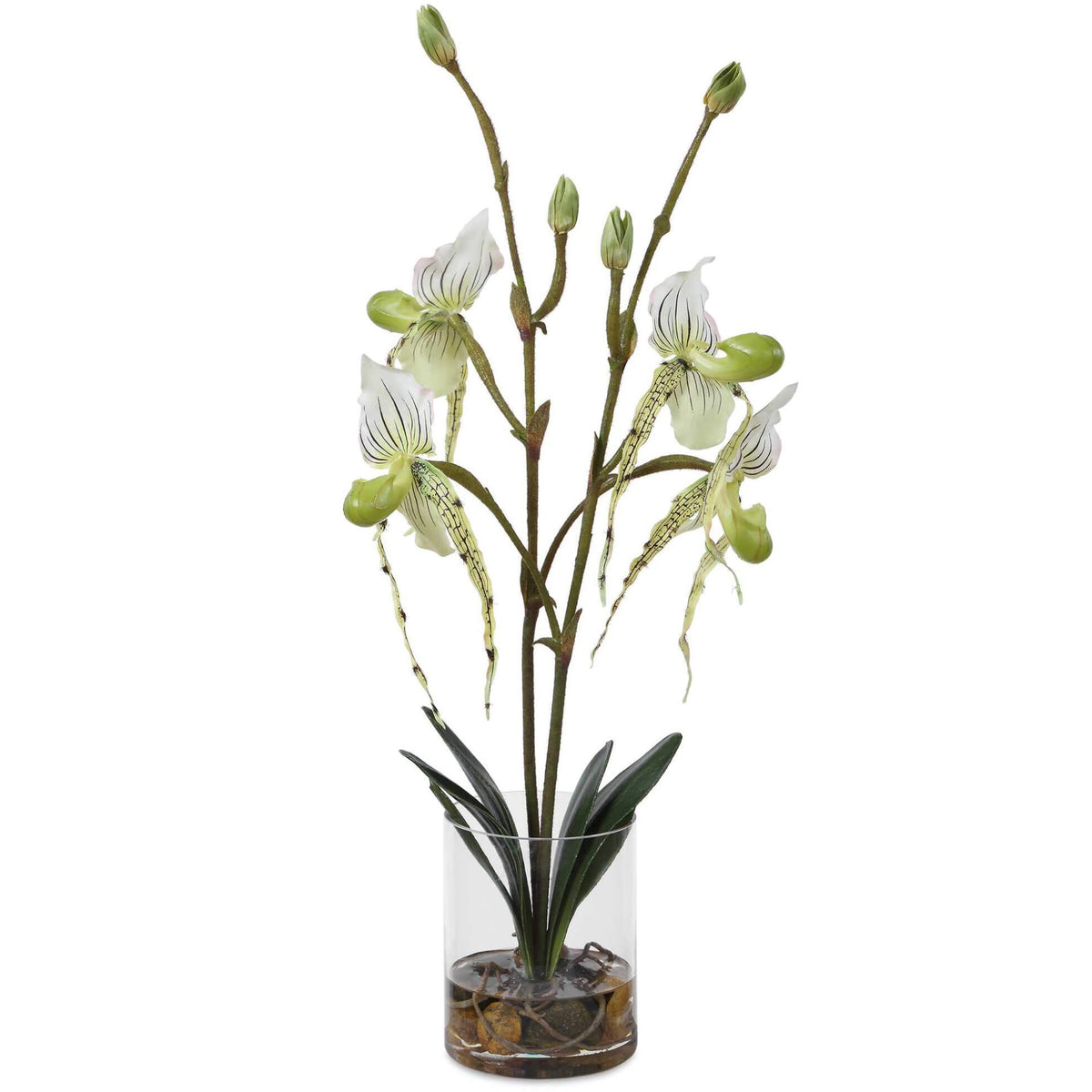 Lady Slipper Orchid In Glass Vase Uttermost