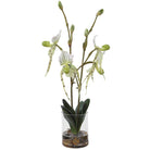 Lady Slipper Orchid In Glass Vase Uttermost