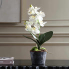 Laris Orchid Drop-In by Uttermost