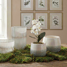 Laris Orchid Drop-In Uttermost