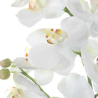 Laris Orchid Drop-In Uttermost
