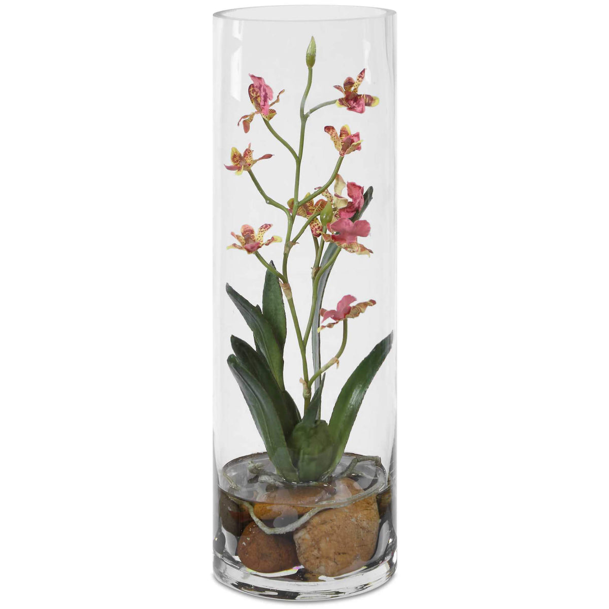Mariposa Pink Orchid Uttermost