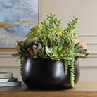 Mico Indoor-Outdoor Succulent Centerpiece Uttermost