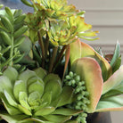 Mico Indoor-Outdoor Succulent Centerpiece Uttermost