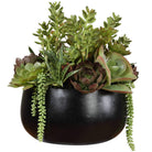 Mico Indoor-Outdoor Succulent Centerpiece Uttermost