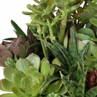 Mico Indoor-Outdoor Succulent Centerpiece Uttermost