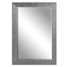 Tarek Silver Mirror by Uttermost