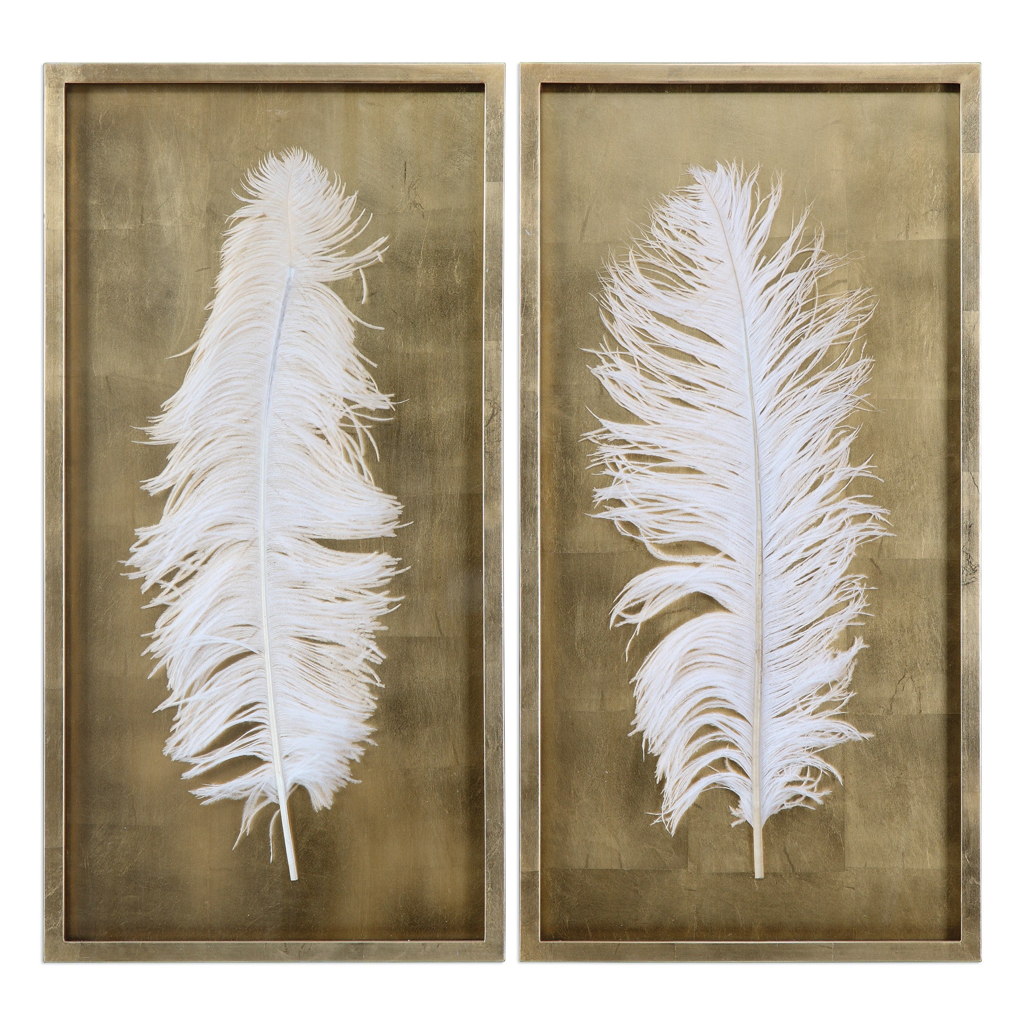 White Feathers Gold Shadow Box - Set of 2 by Uttermost