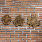 Kalani Indoor-Outdoor Teak Wall Art - Set of 3 by Uttermost