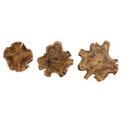 Kalani Indoor-Outdoor Teak Wall Art - Set of 3 by Uttermost