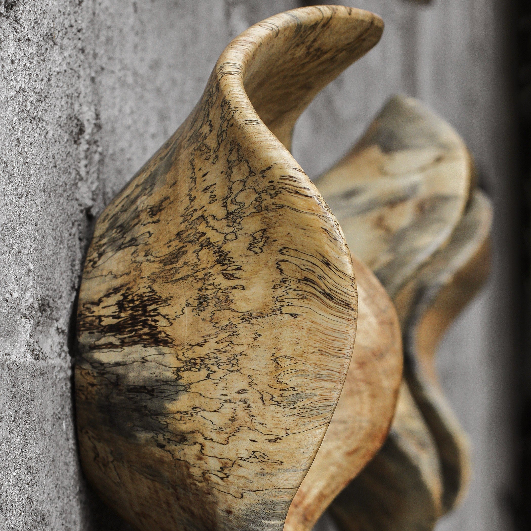Tamarine Wood Wall Art - Set of 3 by Uttermost