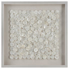 Roxas Capiz Shell Shadow Box by Uttermost