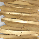 Lev White Metal Wall Decor by Uttermost