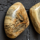 Pebbles Blonde Wood Wall Décor - Set of 9 by Uttermost