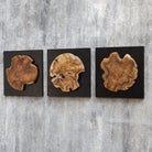 Kolini Teak Wood Wall Decor - Set of 3 by Uttermost