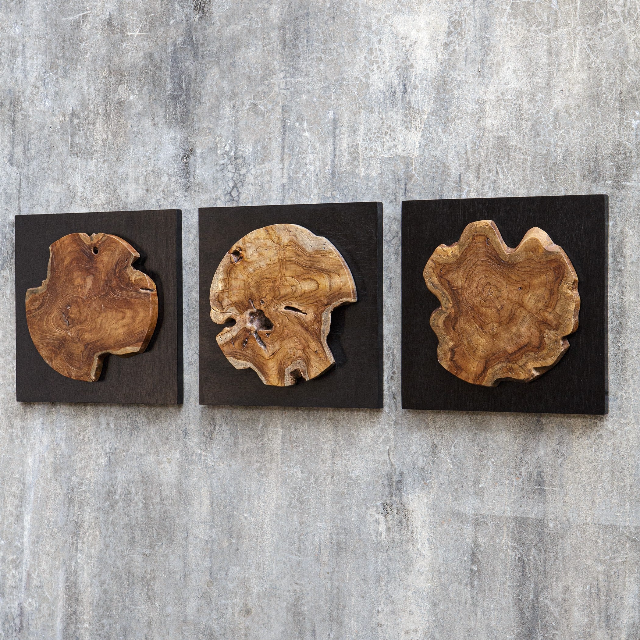 Kolini Teak Wood Wall Decor - Set of 3 by Uttermost