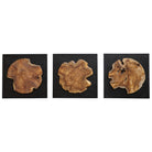 Kolini Teak Wood Wall Decor - Set of 3 by Uttermost