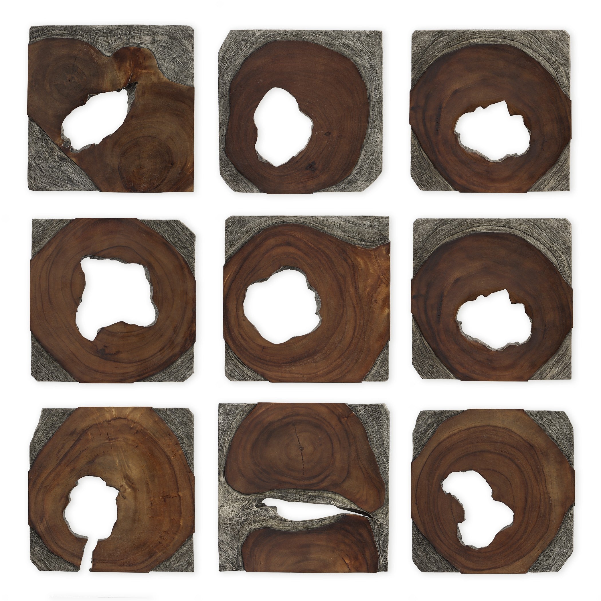 Jungle Wood Paneled Wall Art - Set of 9 by Uttermost