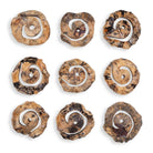 Corkscrew Wood Wall Décor Set of 9 by Uttermost