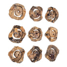 Corkscrew Wood Wall Décor Set of 9 by Uttermost