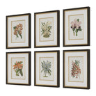 Orchid Botanical Framed Prints Set of 6 by Uttermost