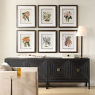 Orchid Botanical Framed Prints Set of 6 by Uttermost